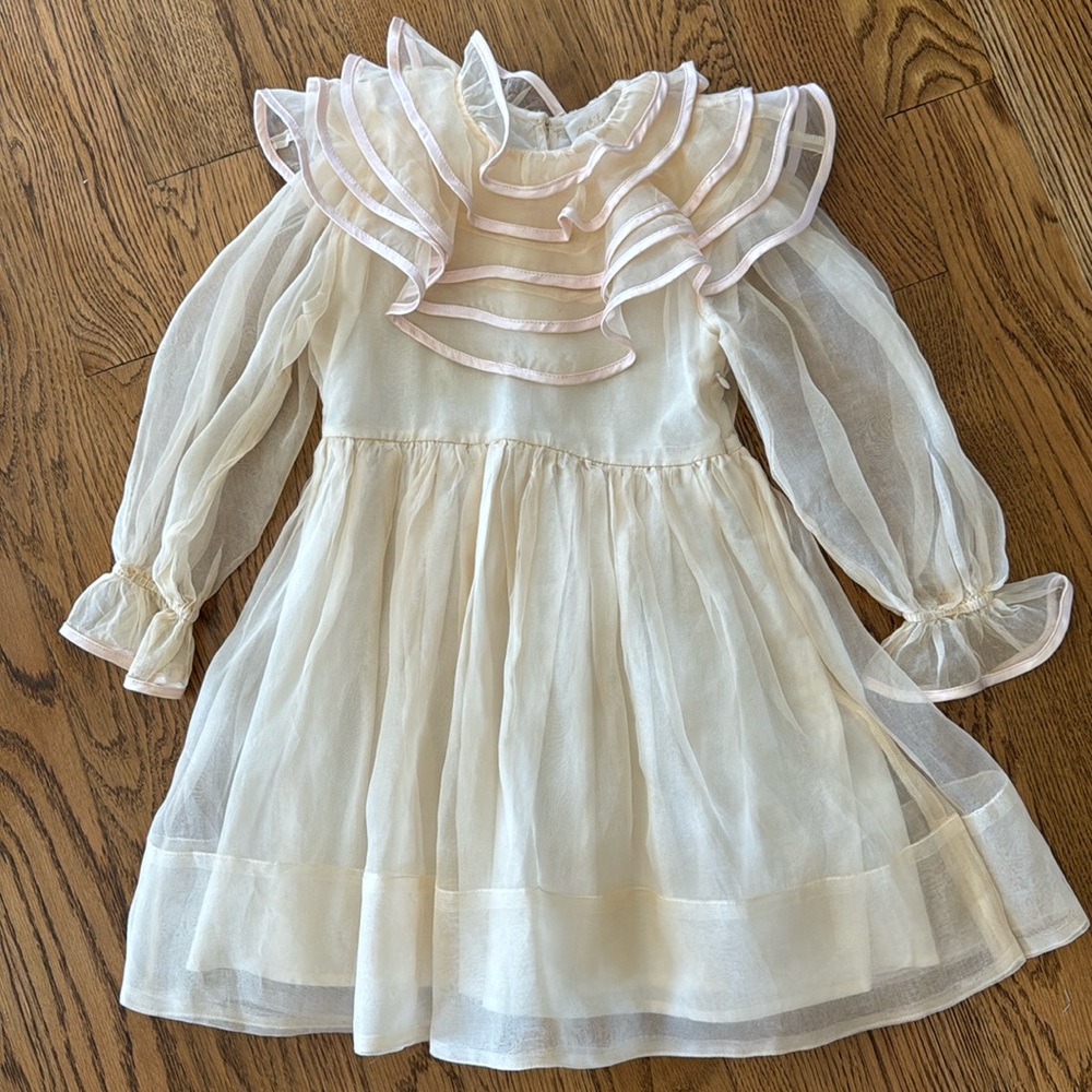 Gorgeous silk organdy Petite Amalie dress size 6 👑✨